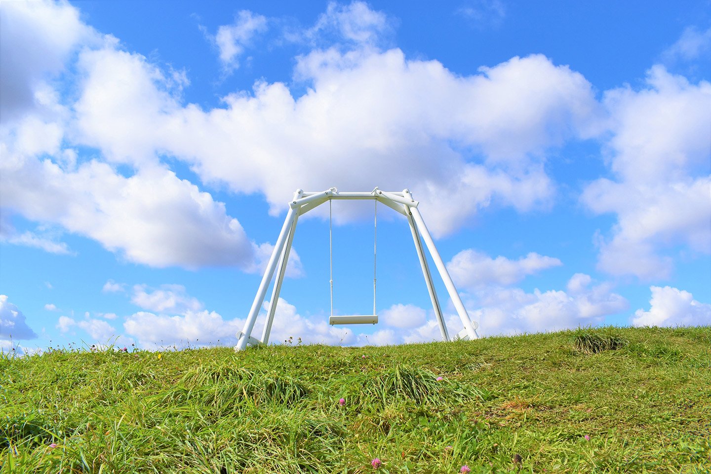 🌿 우에노 팜(우에노 파무) 이미지 5